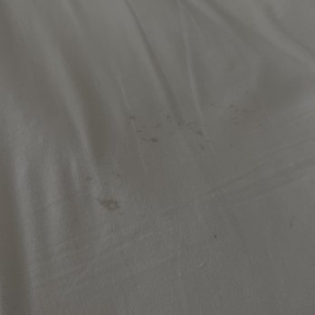 Bahia Resort Hotel - Bed stain - San Diego, CA
