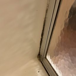 Mold-upstairs shower Mold-upstairs shower