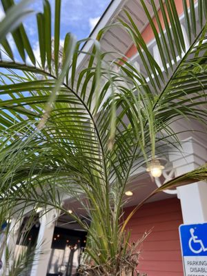 Florida's Seafood Bar & Grill by null