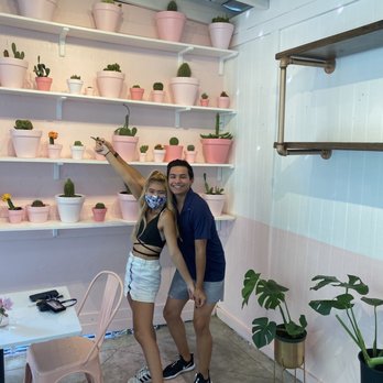 Taquero Mucho - A wall of pink cacti matches the all pink aesthetic! - Mexican Near Me - Austin, Texas Taquero Mucho - A wall of pink cacti matches the all pink aesthetic! - Mexican Near Me - Austin, Texas