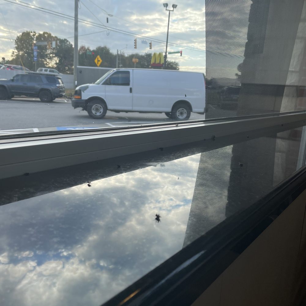 McDonald's - Flies, Neglect, & Uncleanliness. - Burgers Near Me - Lavonia, Georgia