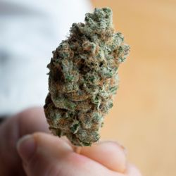 Asheville Dispensary