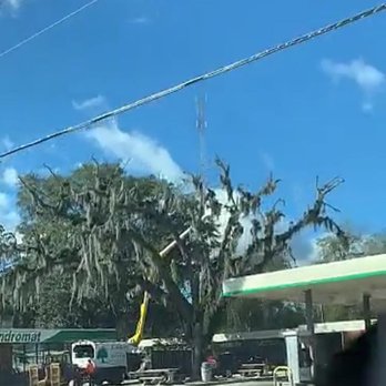 Gaskin Tree Service - Commercial - Tree Services Near Me - Ludowici, Georgia Gaskin Tree Service - Commercial - Tree Services Near Me - Ludowici, Georgia