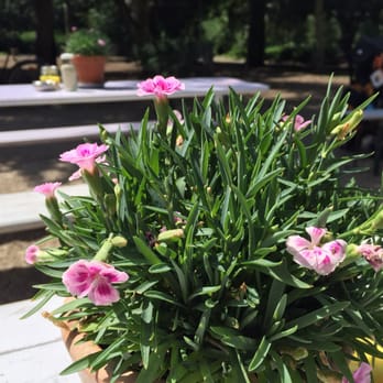 Florabar - Cafes Near Me - Dusseldorf, NW