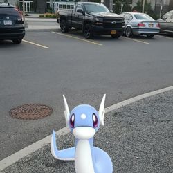 Big Smoke Burger - Dratini hanging out at The Eatery