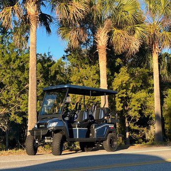 GolfCart.Fun - The palm tree saw its shadow! That means 6 more weeks of summer! - Golf Cart Rentals Near Me GolfCart.Fun - The palm tree saw its shadow! That means 6 more weeks of summer! - Golf Cart Rentals Near Me