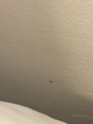 HOTEL ROCKAWAY by null