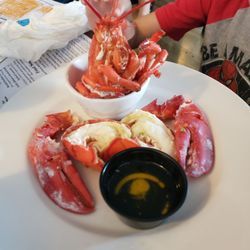 Starboard Galley Restaurant - LOBSTER SUPRISE The perfect restaurant for the first lobster my nephew ate. In his own words, "Taste sweet...So Yummy... I love it!"