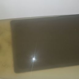 Flooded shower tub with fecal matter coming up from the pipe.