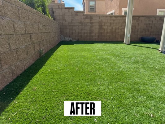 2 dogs in Fontana. Beauty restored! - This backyard featured some old piles of dog waste that were stuck to the artificial turf. We have special tools for that and made quick work of it. The end result brought this backyard back to life for the owners, their kids and the pups! 2 dogs in Fontana. Beauty restored! - This backyard featured some old piles of dog waste that were stuck to the artificial turf. We have special tools for that and made quick work of it. The end result brought this backyard back to life for the owners, their kids and the pups!