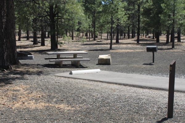 Bonito Campground by null