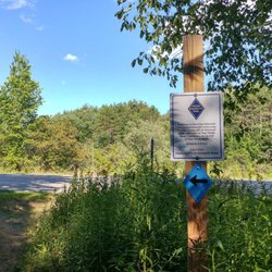 River Point Conservation Area - I think we've gone too far.