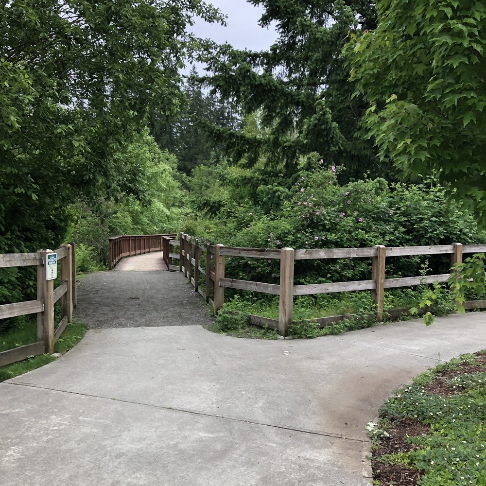Ebright Creek Park - Parks Near Me - Sammamish, Washington