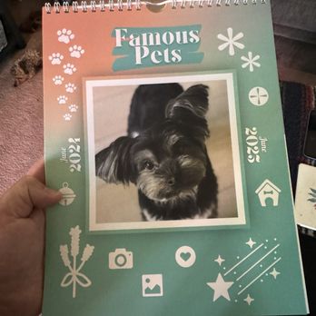 Olly’s Dog Grooming - He made the cover!! - Pet Groomers Near Me - San Jose, California Olly’s Dog Grooming - He made the cover!! - Pet Groomers Near Me - San Jose, California