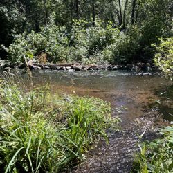 Living Springs RV And Lodging
