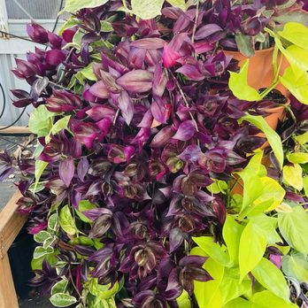 Grow + Gather - Attraction Farms Near Me - Englewood, Colorado
