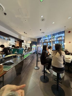 The Wild Fox by null