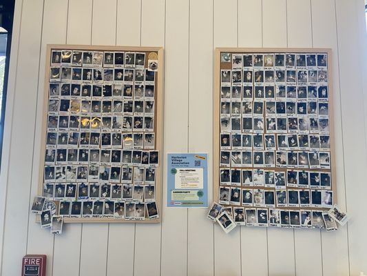 Alcove Market by null