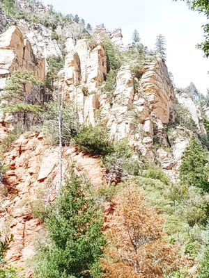 Pine Flat Campground by null