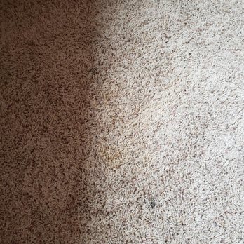 Air Force One Carpet Cleaning - Carpet Cleaning Near Me - Omaha, Nebraska Air Force One Carpet Cleaning - Carpet Cleaning Near Me - Omaha, Nebraska