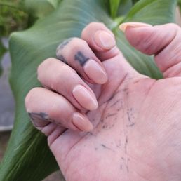 Nude gelly manicure with gel polish