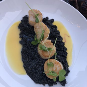 BlueBlood Steakhouse - SEARED JUMBO SCALLOPS NIRO RISOTTO - Steakhouses Near Me - Toronto, Ontario BlueBlood Steakhouse - SEARED JUMBO SCALLOPS NIRO RISOTTO - Steakhouses Near Me - Toronto, Ontario