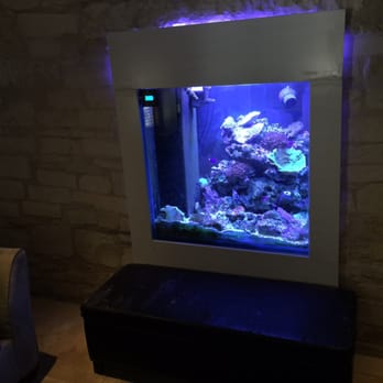 Austin Aqua-Dome - Pet Stores Near Me - Austin, Texas Austin Aqua-Dome - Pet Stores Near Me - Austin, Texas