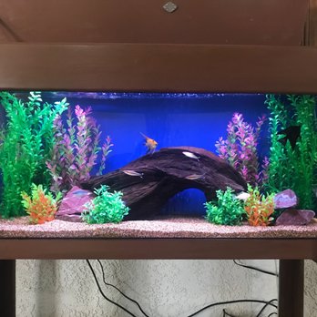 Aquatech Aquarium Service - New fish tank - Aquarium Services Near Me - Culver City, California Aquatech Aquarium Service - New fish tank - Aquarium Services Near Me - Culver City, California