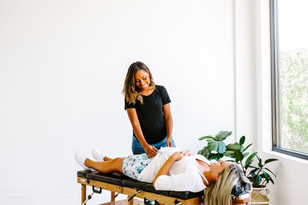 Dr. Mama Bird by null