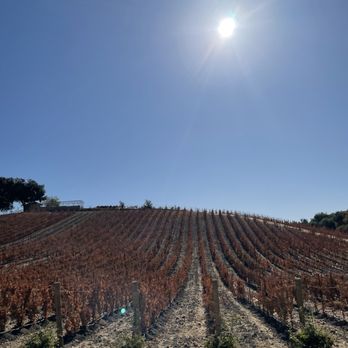 Clos Solène Winery - Wine Tasting Room Near Me - Paso Robles, California