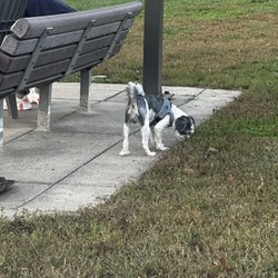 Worthington Dog Park