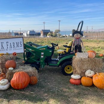 Em&K Farms - Pumpkin Patches Near Me - Moxee, Washington