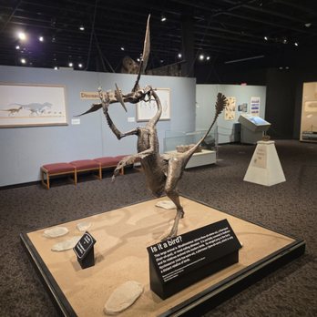 Mesalands Dinosaur Museum - Museums Near Me - Tucumcari, New Mexico Mesalands Dinosaur Museum - Museums Near Me - Tucumcari, New Mexico