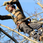 Photo of Paul Bunyan's Tree Service