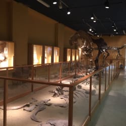 Glenrock Paleontological Museum - The volunteer museum is small but very informative and well organized.