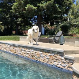 Pool Pool
