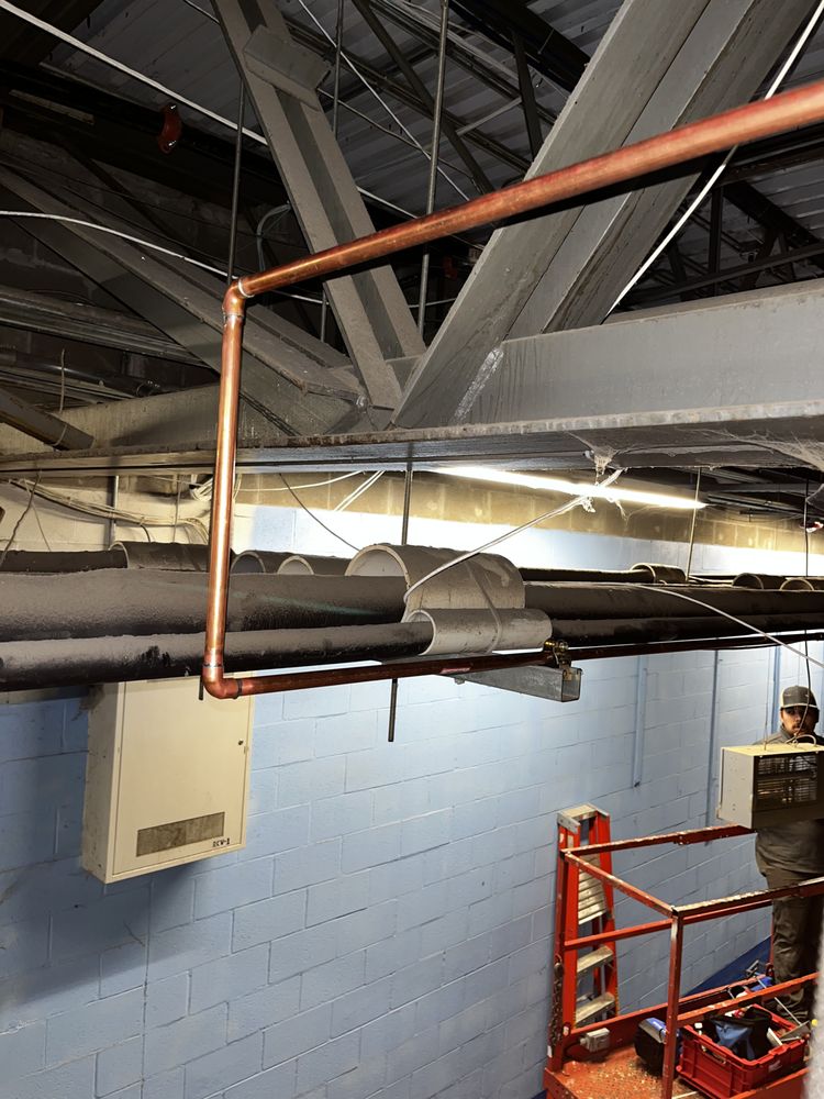 Slide of Arkansas Rooter