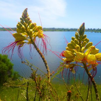 Alameda Creek Trail - Hiking Near Me - Fremont, California Alameda Creek Trail - Hiking Near Me - Fremont, California