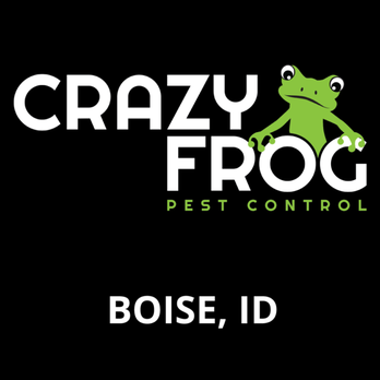 Crazy Frog Pest Control - Pest Control Near Me - Boise, Idaho Crazy Frog Pest Control - Pest Control Near Me - Boise, Idaho