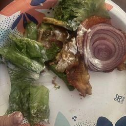 The toppings we took off of the plain burger we ordered The toppings we took off of the plain burger we ordered