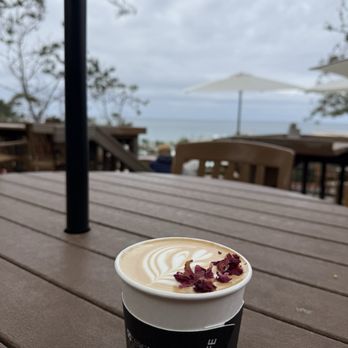 Pinpoint Cafe - Rose Latte - Coffee & Tea Near Me - San Diego, California