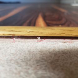 Shans Carpets & Fine Flooring - kitchen entrance pink stuff on tile dining room tile and kitchen ceramic tile
