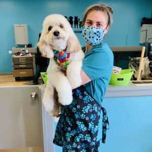 An Jan Feed Pet Supply 61 Reviews Pet Stores 433 Vinyard Town Ctr Morgan Hill Ca United States Phone Number Yelp