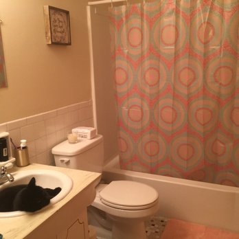 Olde Towne Village - Bathroom (ft. My kitty) - Apartments Near Me - Buffalo, New York Olde Towne Village - Bathroom (ft. My kitty) - Apartments Near Me - Buffalo, New York
