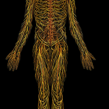 1. Gateway Chiropractic of Hanover