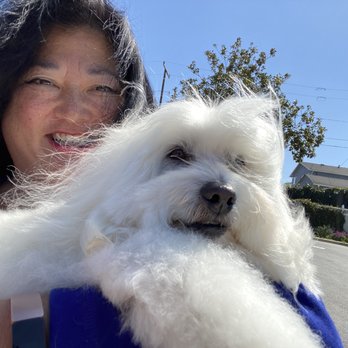 Groom-Mates - Happy and healthy after grooming! - Pet Groomers Near Me Groom-Mates - Happy and healthy after grooming! - Pet Groomers Near Me