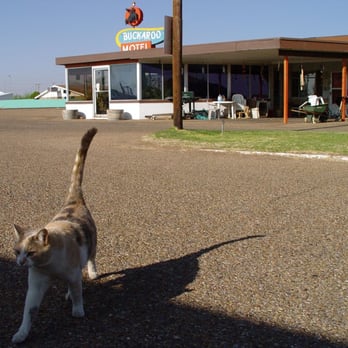 Buckaroo Motel - Hotels Near Me - Tucumcari, New Mexico