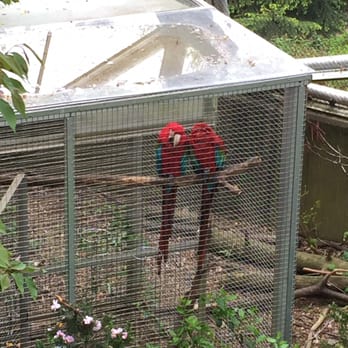 Queens Zoo - Love parrots - Zoos Near Me - Corona, New York Queens Zoo - Love parrots - Zoos Near Me - Corona, New York