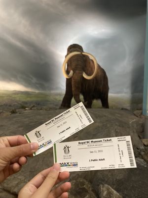 Royal BC Museum by null