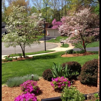 Ryan's Landscaping - One of Ryan's clients! - Landscaping Near Me - Springfield, Virginia Ryan's Landscaping - One of Ryan's clients! - Landscaping Near Me - Springfield, Virginia